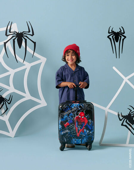Spider-Man-Taschen