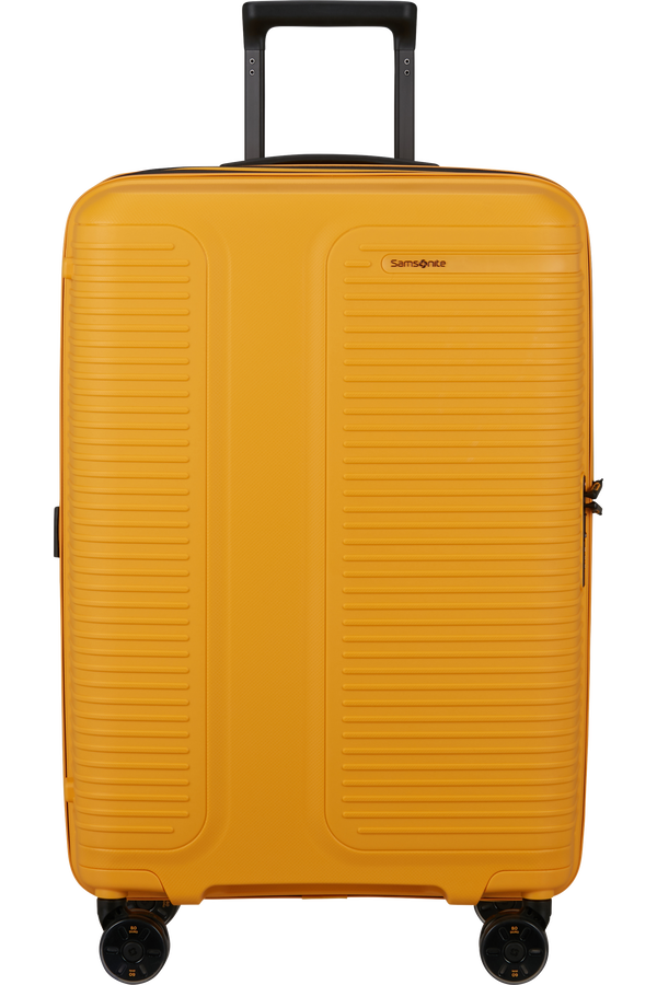 Prodiver Trolley mit 4 Rollen erweiterbar 69cm