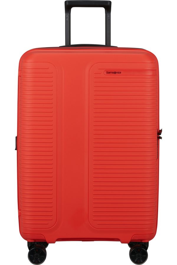 Prodiver Trolley mit 4 Rollen erweiterbar 69cm